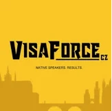 VisaForce logo